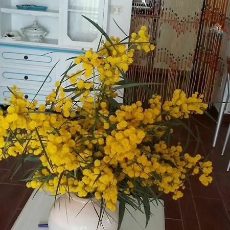 With 3 In San Teodoro, With Wonderful Sea View, Private Po Villa San Teodoro (Sardinia)